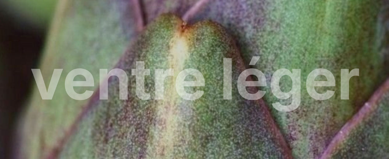 Ventre léger